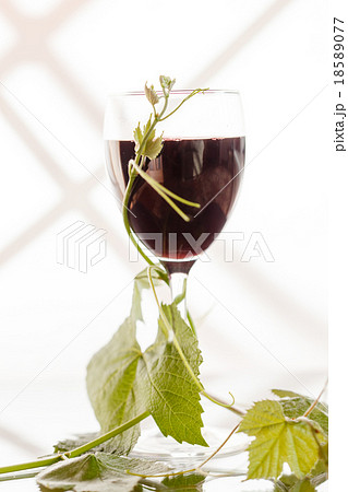 Red wine in glass with grape leaves Red wine in glass with grape leaves 18589077