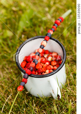 wild strawberries wild strawberries 18589090