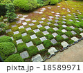庭園 18589971