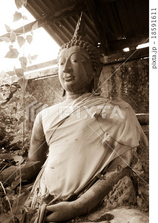 Old Buddha Old Buddha 18591611