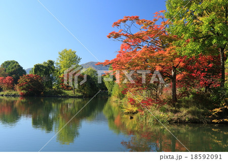 秋の中島公園 秋の中島公園 18592091