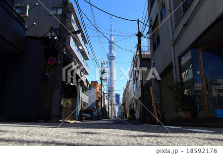 東京の下町の町並みとスカイツリー 東京の下町の町並みとスカイツリー 18592176