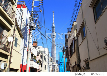 東京の下町の町並みとスカイツリー 東京の下町の町並みとスカイツリー 18592200