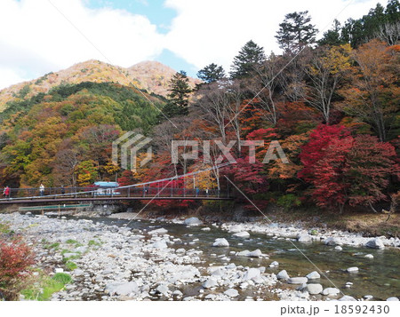 塩原温泉郷の紅葉 18592430