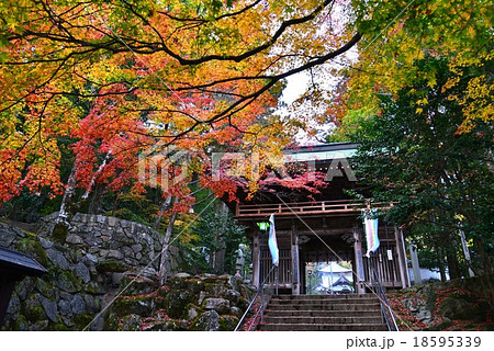 大窪寺紅葉29 山門 四国八十八箇所霊場８８番札所 結願寺 の写真素材