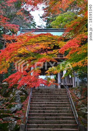 大窪寺紅葉30 山門 四国八十八箇所霊場８８番札所 結願寺 の写真素材