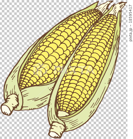 Corn 18595417