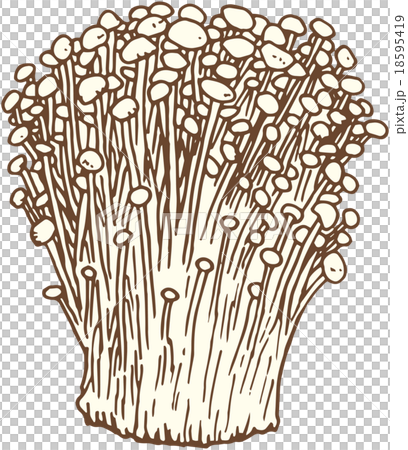 えのき茸のイラスト素材