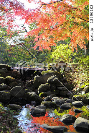 ファンタジック～ばったら池の秋 18596132