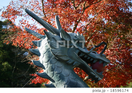 紅葉に映える竜の彫刻 18596174