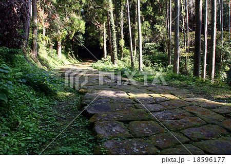 歴史街道の龍門司坂 歴史街道の龍門司坂 18596177