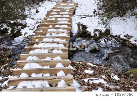 笠取山 雪の源流のみちの木道 18597060