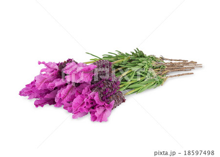 bundle of lavender bundle of lavender 18597498