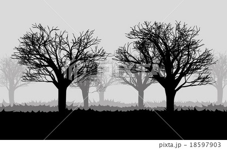 forest in the dark mist, trees silhouettes 18597903