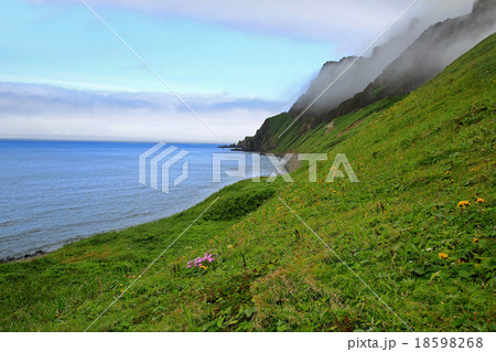 北海道　礼文島 18598268