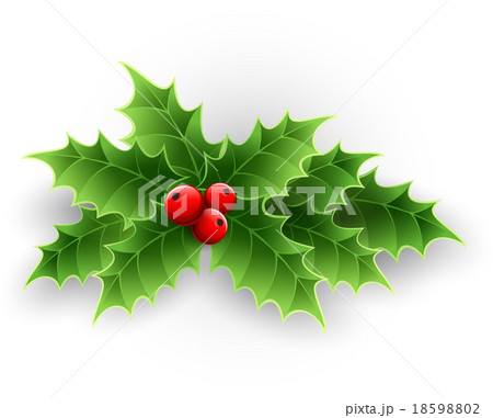 Christmas Holly Berry.  18598802