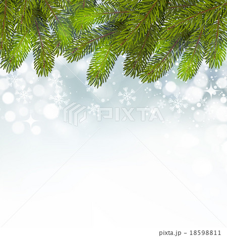 Christmas background with snow and branches 18598811