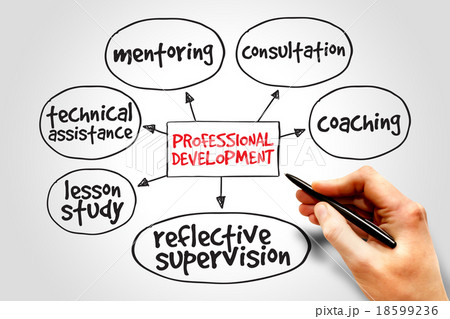 Professional development Professional development 18599236