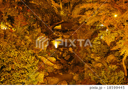 愛知県豊田市 猿投温泉 ライトアップされた紅葉の写真素材