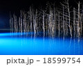 青い池ライトアップ 18599754