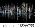 青い池ライトアップ 18599755