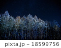 冬の星空 18599756