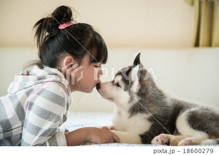 Little asian girl kissing a siberian husky puppy 18600279