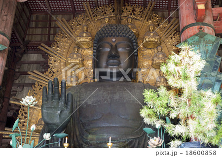 大仏殿の盧遮那仏 18600858