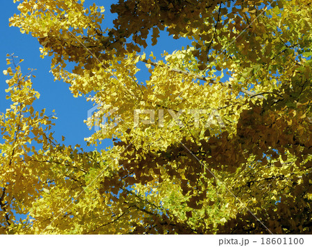 晩秋の熊野神社長床(喜多方市) 18601100