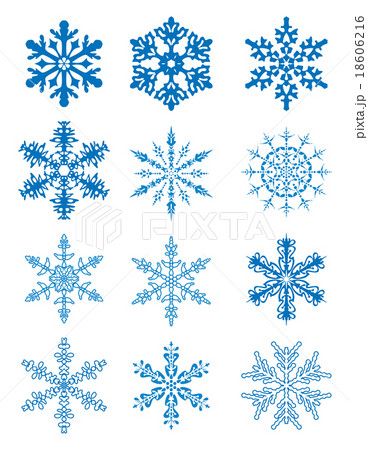 vector 12 snowflakes vector 12 snowflakes 18606216