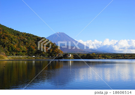 11月富士山1033紅葉の精進湖 11月富士山1033紅葉の精進湖 18606514
