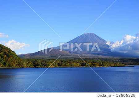 11月富士山1048紅葉の本栖湖 18606529