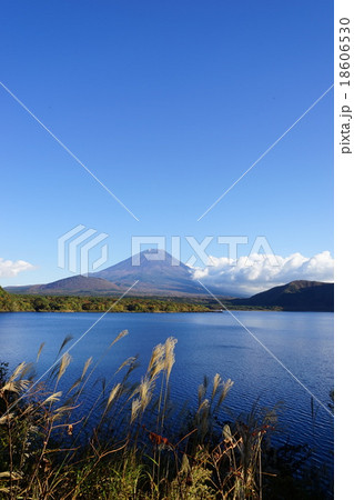11月富士山1049紅葉の本栖湖 18606530
