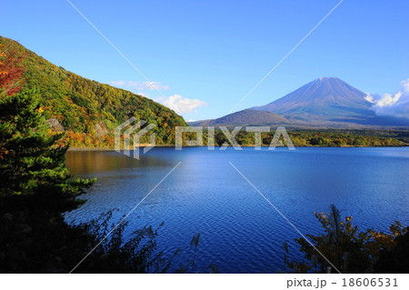 11月富士山1050紅葉の本栖湖の写真素材