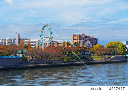 小台橋より荒川遊園の観覧車と紅葉を臨む 18607497
