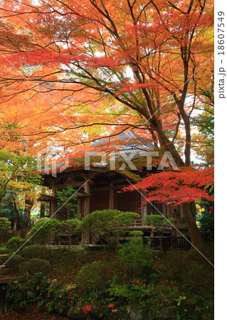 世界遺産　平泉　中尊寺の紅葉 18607549