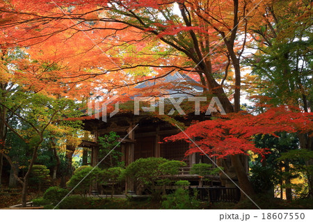 世界遺産　平泉　中尊寺の紅葉 18607550