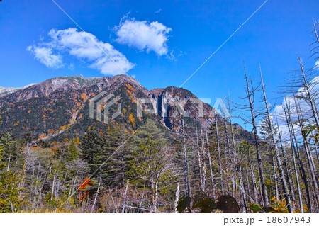 上高地　岳沢湿原の風景 18607943