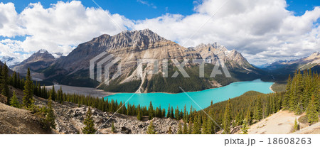 Panorama of Peyto Lake, Alberta, Canada 18608263