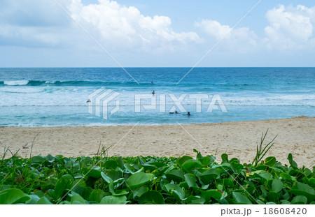 sand and blue sky at Surin Beach Phuket  18608420
