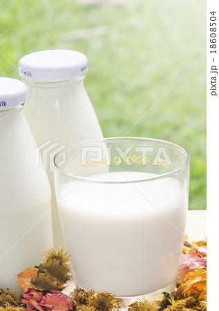 milk 18608504