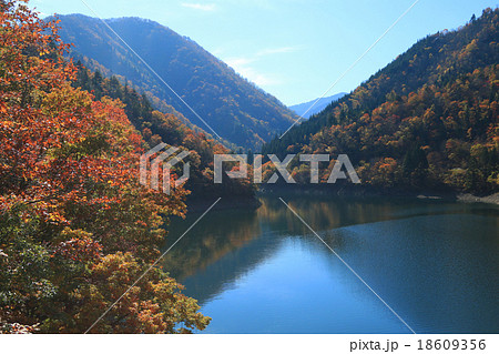 九頭竜湖の紅葉の写真素材