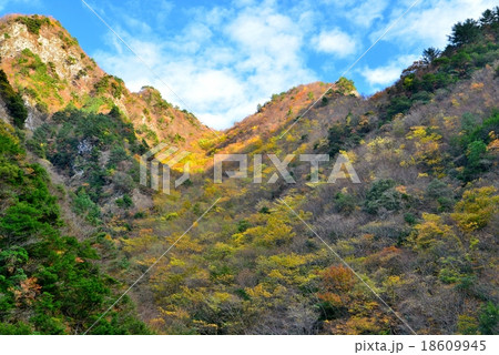 黄葉の竜ヶ岳（徳島県西祖谷） 18609945