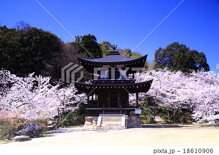 勧修寺(京都 山科)庭園に咲く桜 勧修寺(京都 山科)庭園に咲く桜 18610906