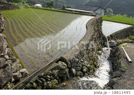 石垣の水田と水路 18611495