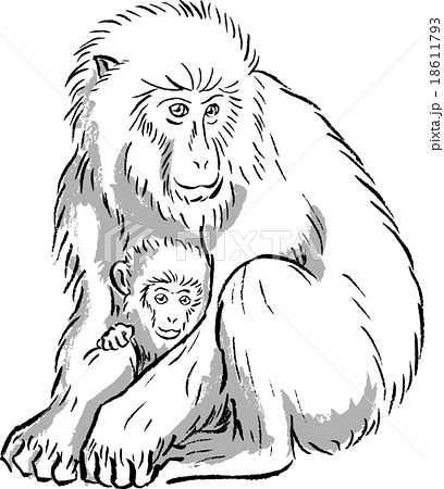 猿の親子のイラスト素材 18611793 Pixta