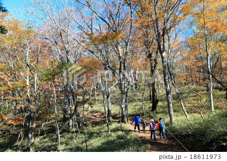 大菩薩峠へ向かうハイカー 18611973