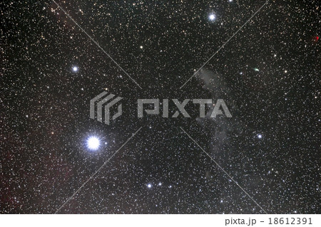 リゲルと魔女の横顔 リゲルと魔女の横顔 18612391