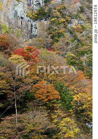 紅葉のある崖／茨城県　大子町 18612658