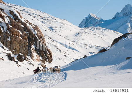 Dog sledding tour in Tasiilaq, Greenland 18612931
